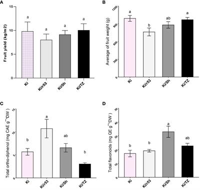 Rootstock identity in melon-pumpkin graft combinations determines fruit metabolite profile